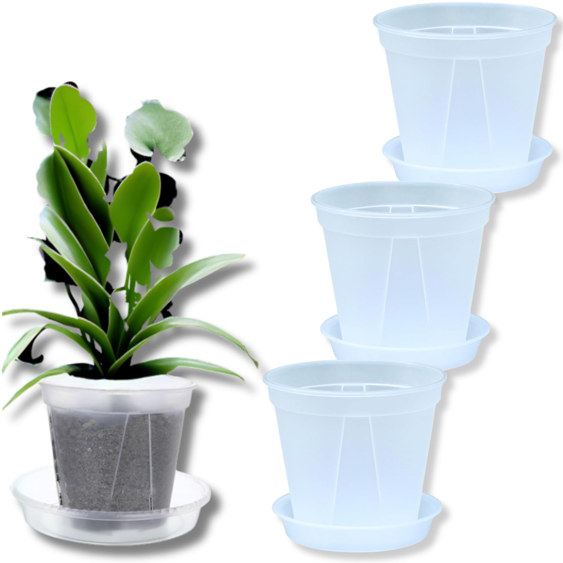 Amazon.co.jp: RYOHIN Lab.(良品ラボ) 植木鉢 透明 プラスチック 底皿